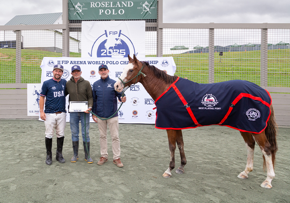 SOLID GOLD: USA CLAIMS FIRST FIP ARENA WORLD POLO CHAMPIONSHIP ON HOME ...