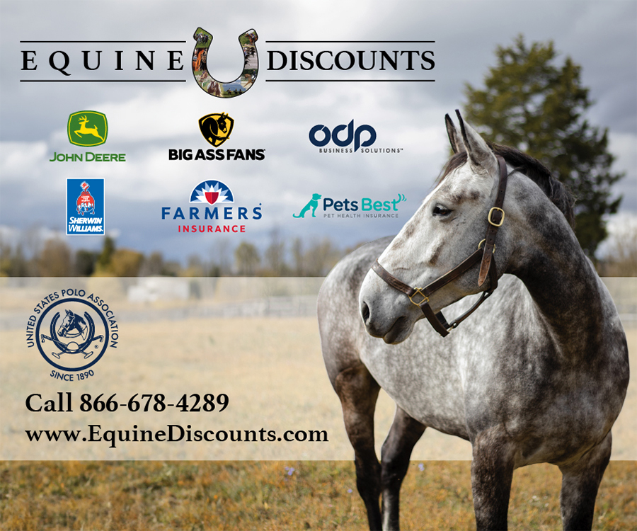 Equine Discounts