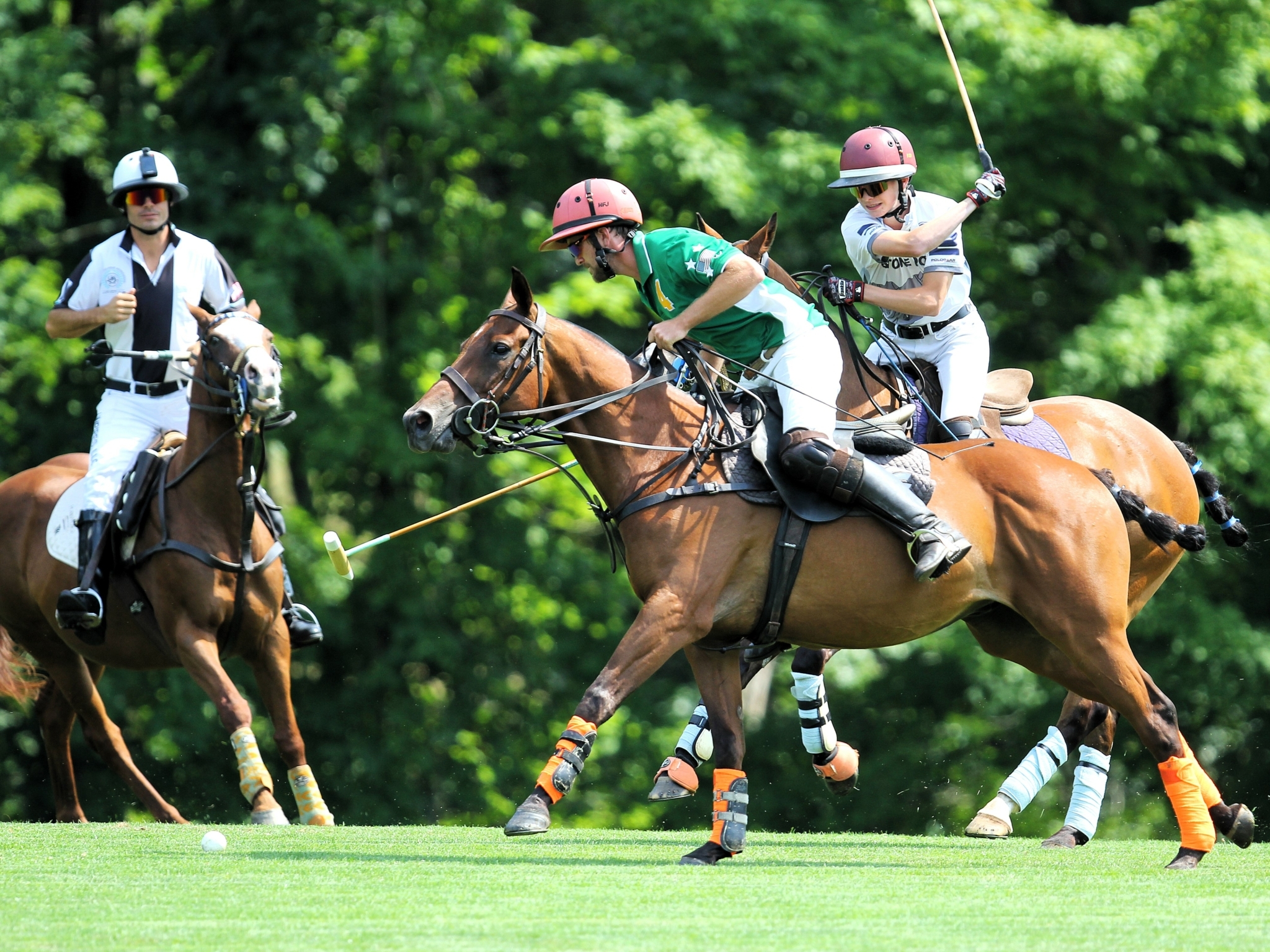 GIANT VALLEY POLO CLUB | U.S. POLO ASSN.