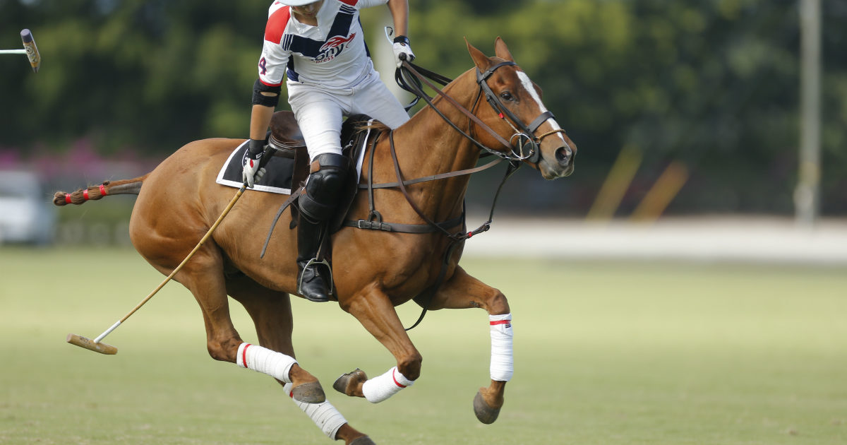 FLORIDA NYTS TOURNAMENT QUALIFIERS | U.S. POLO ASSN.
