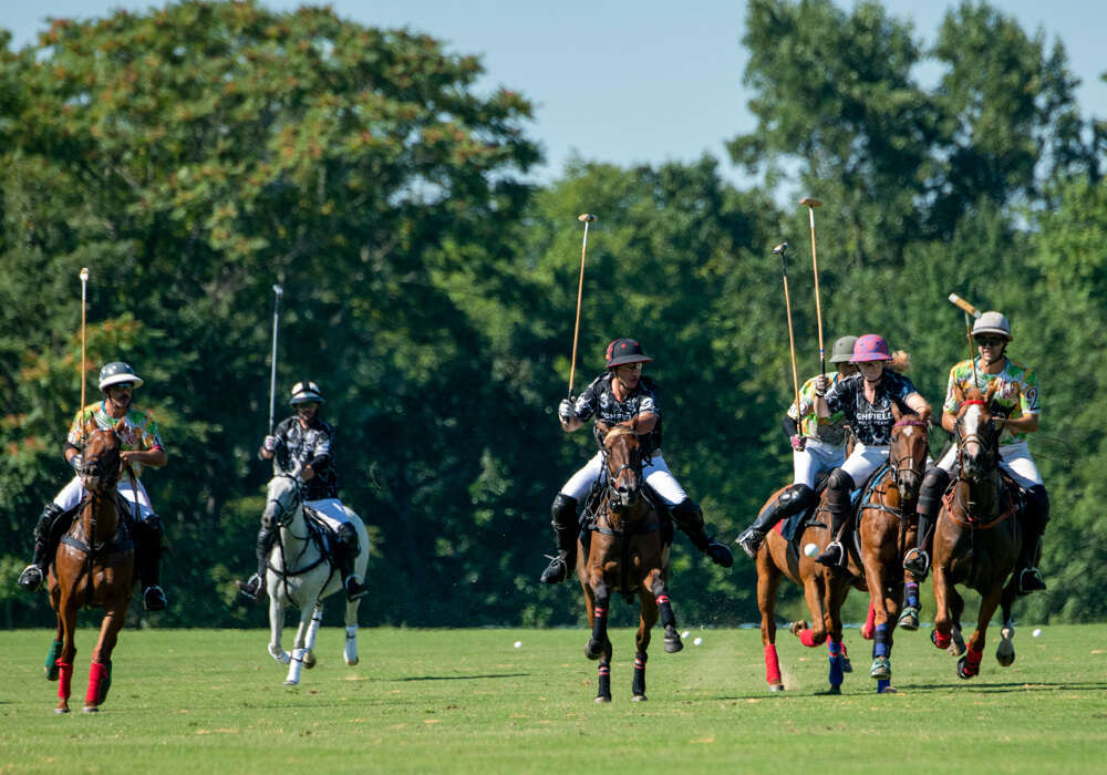 Eight-goal action continues at Beverly Polo Club for both Point to Point/Highfields and Dragonfly/Pineapples in the Regional President's Cup.