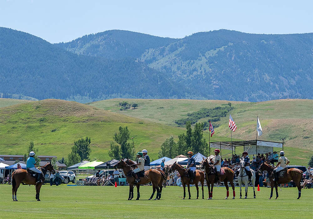 Held during the Pacific Coast Circuit Governor's Cup (Shane Winkler Memorial) tournament, the APPR seeks to identify and recognize top-performing horses across the sport.