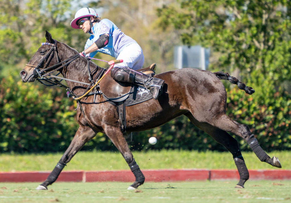 GRAND CHAMPIONS POLO CLUB ANNOUNCES FALL SCHEDULE | U.S. POLO ASSN. (en-US)