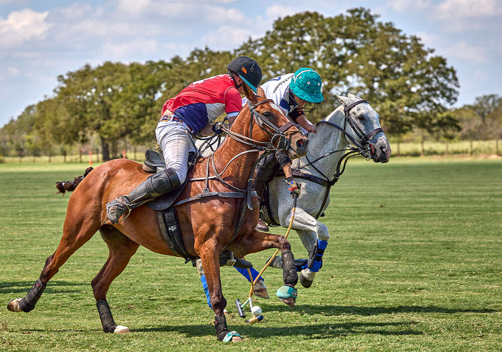 Oak Bend Farm's Joss Elite Motion's Leufrançois and Elite Motion's Ben Colburn battle for possession.