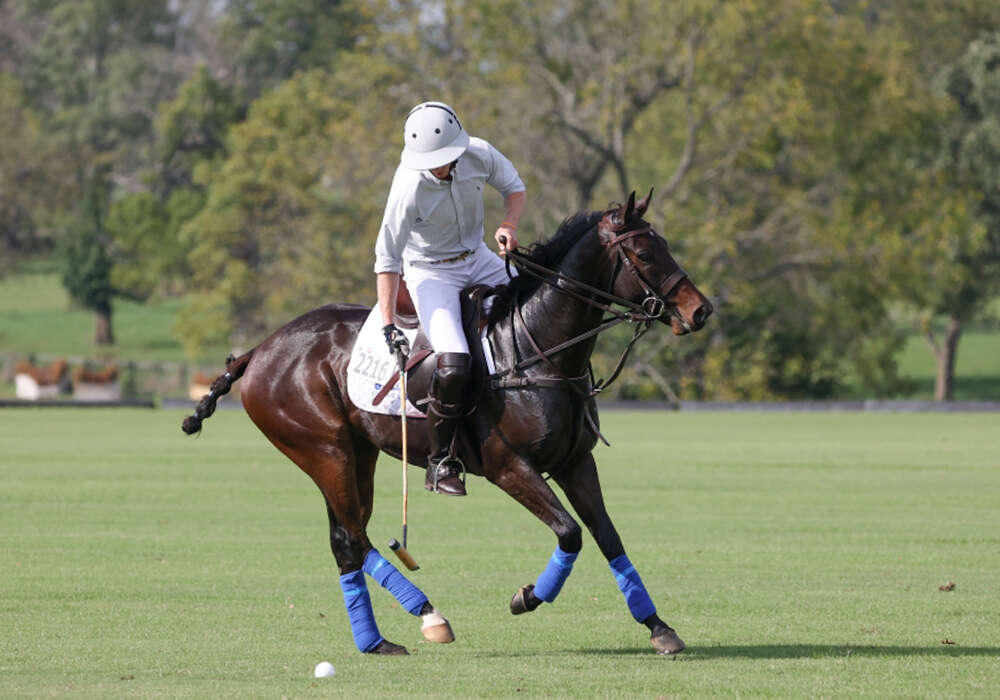 Ramses, trained by Benjamin Lynch received the highest overall score from a field of seven in the 2021 Retired Racehorse Project Thoroughbred Makeover.