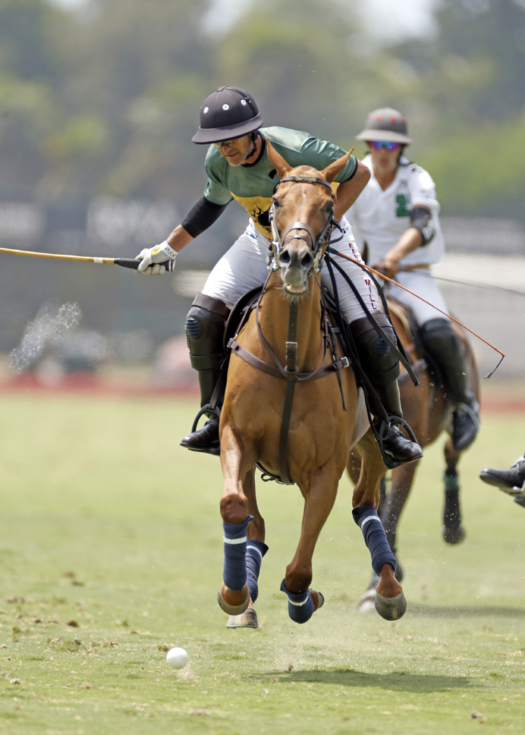 RESTORATION HARDWARE COMES OUT ON TOP AFTER FIRST WEEK OF SILVER AIR ...