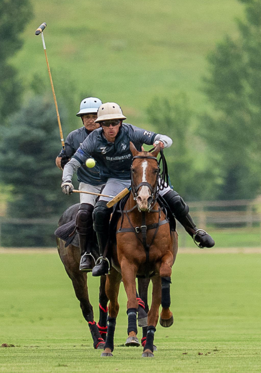 The pilot program included financial incentives and prize categories for horses based on performance and breeding, as well as early feedback to shape the registry going forward.