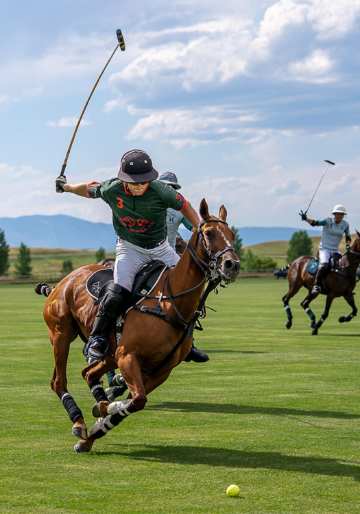 The APPR aims to formalize how polo horses are tracked, recognized and rewarded in the United States.
