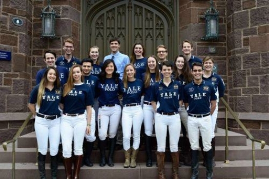 meet yale polo