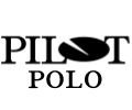 Pilot team logo