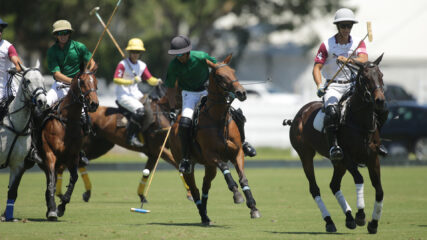2025 National President's Cup Semifinal- Organic Matters vs TNT Global/Jet Set Visas