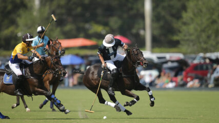 2025 U.S. Open Polo Championship Semifinal- La Dolfina/Catamount vs Park Place
